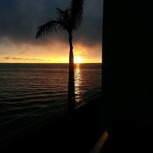 Meet your Posher, Erick